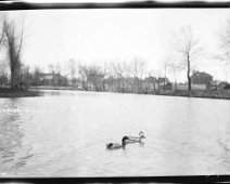 photo_editor_ds_1637374676360